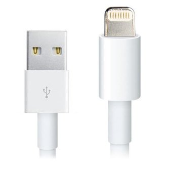 Apple Lightning USB Cable (High Quality) for iPhone 6S 6S Plus 5S 6 6 Plus iPad 4 iPad Mini Air IOS7 IOS8 Apple Lightning USB Cable (High Quality) for iPhone 6S 6S Plus 5S 6 6 Plus iPad 4 iPad Mini Air IOS7 IOS8