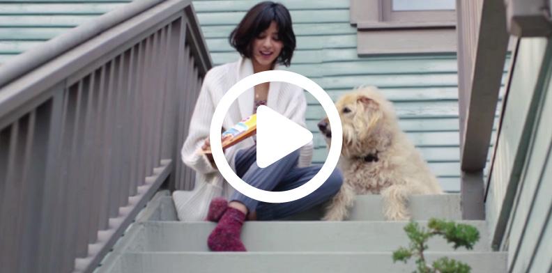 Bosch Sms 7082 Manual Lawn