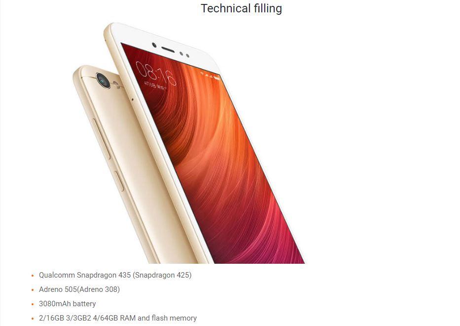 13.JPG