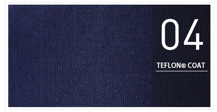 Dauphine Description 21.jpg