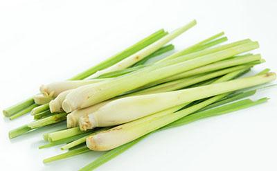 citronella-essential-oil.jpg