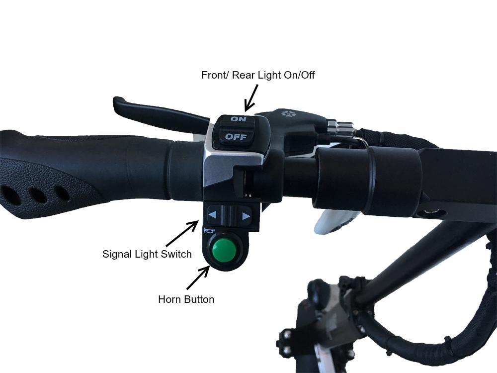 levitron rex-7-1.jpg