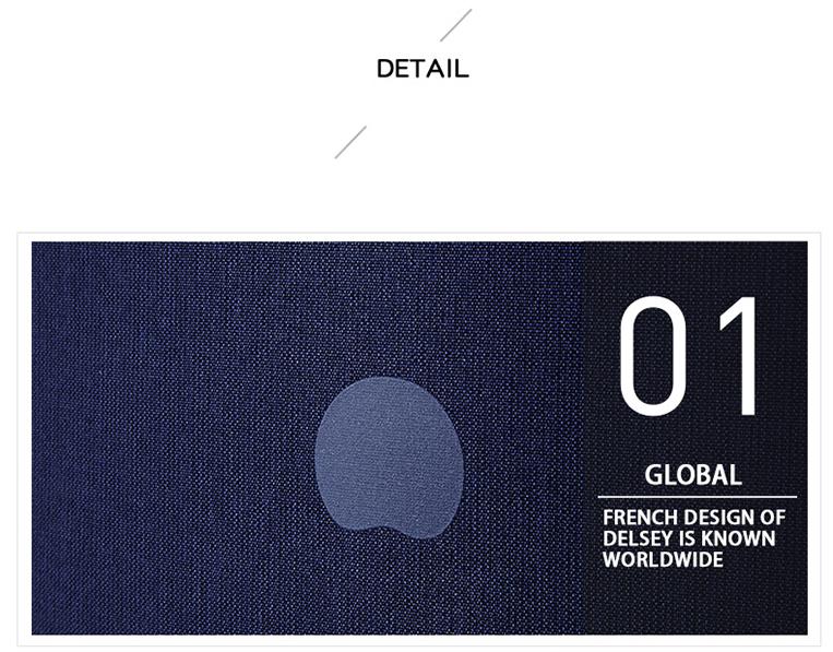 Dauphine Description 19.jpg