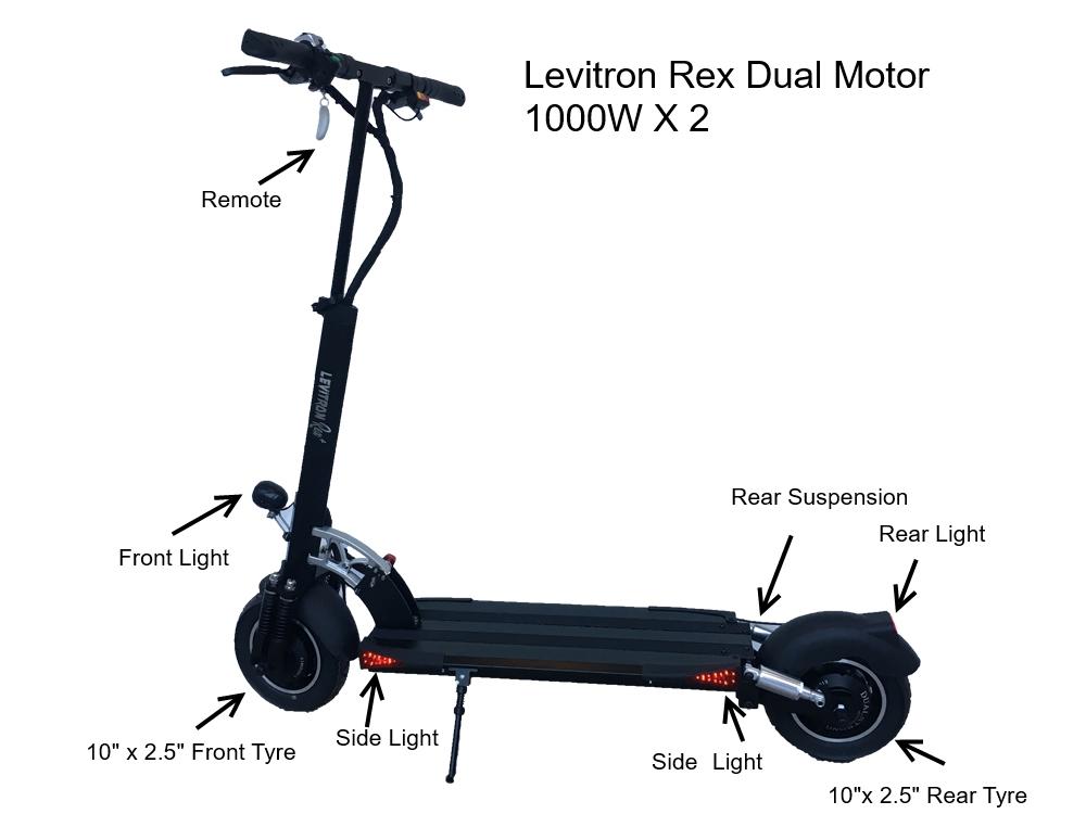 levitron rex-1-1.jpg