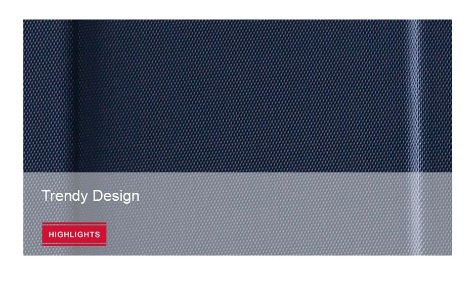 Ison Description 4.jpg