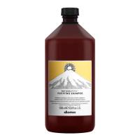 Lowest Price in Singapore! Davines NATURALTECH Purifying Shampoo 100ml / 250ml / 1000ml (Fight Dandruff) - TS Global Trading
