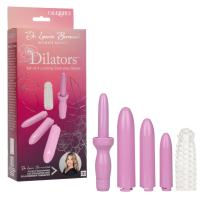 CALEXOTICS - DR. LAURA BERMAN Dilators™ Set Of 4 Locking Sizes Plus Sleeve - Purple (Item #: SE-9711-14-3)