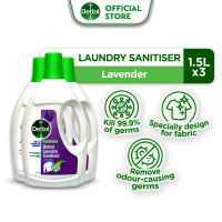 Dettol Laundry Sanitizer Detergent Assorted Variant 1.5L Bundle of 3