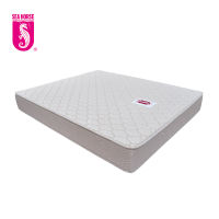 SEA HORSE SEA ALL model Foam Mattress! Ready stock!