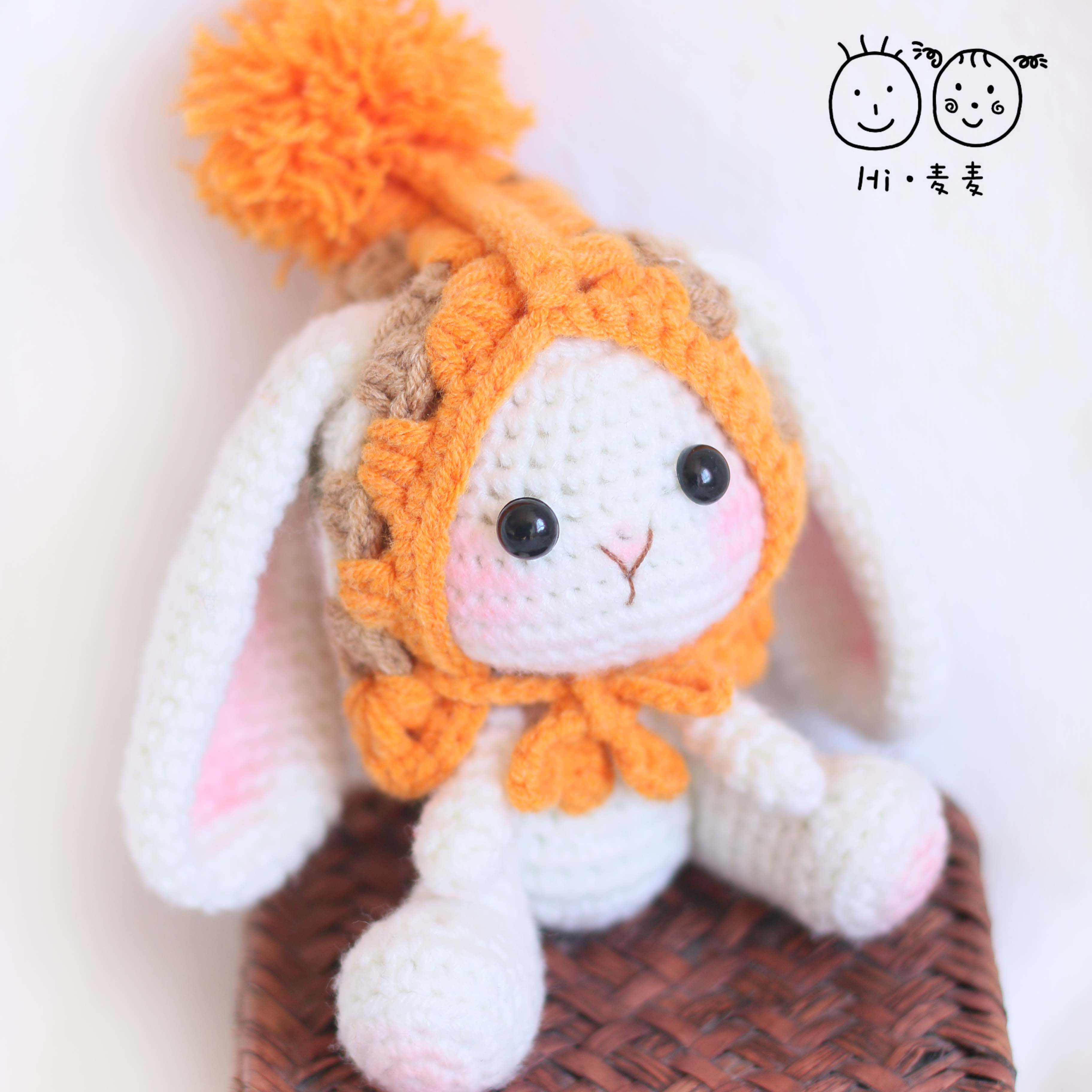 Beginner Crochet Kit with Crochet Hooks Yarn Set DIY Crochet Stuffed Animal Kits