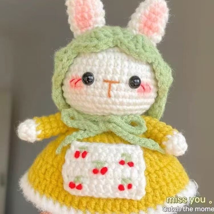 Beginner Crochet Kit with Crochet Hooks Yarn Set DIY Crochet Stuffed Animal Kits