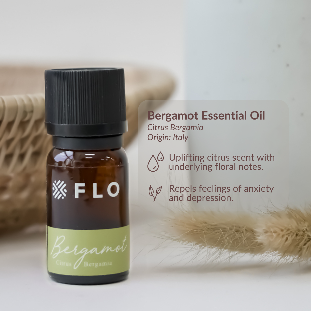 FLO Diffuser Go - Aroma Nebulising Portable Essential Oil Diffuser - Waterless Wireless USB-C LED Timer