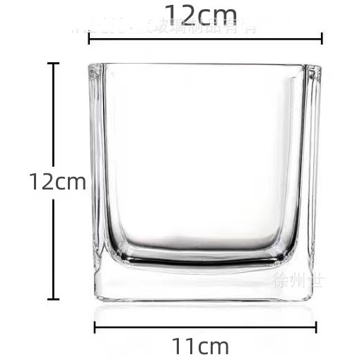 【SG】 Simple Transparent Hydroponic Glass Flowerpot Devils Ivy Tulip Table Top Hydroponic Glassware