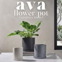 Ava Ceramic Pot | Plant Pots | Home Outdoor Garden Flower Pot | Flower Pot | Garden | Gardening | Chinese New Year | Lucky Bamboo | Money Tree | kumquat tree | Speckled Space
