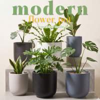 Modern Plain Ceramic Flower Plant Pots | Home Outdoor Garden Flower Pot | Flower Pot | Big Flower Pot | Garden | Gardening | Lucky Bamboo | Money Tree