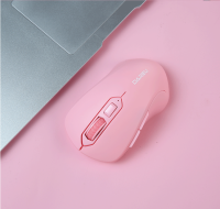 Dareu LM115B Dual Mode Silent Bluetooth and Wireless Mouse Portable Mini Wireless Mouse for Office & Home Laptop 1 Year 1to1 Exchange Warranty (no battery)