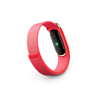 Google Fitbit Air