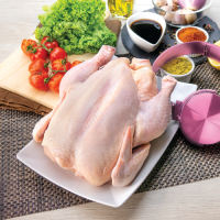 Frozen Lacto Whole Chicken – 1.2kg