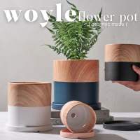 Woyle Ceramic (Wood-Print) Flower Pots | Plant Pots | Home Outdoor Garden Flower Pot | Flower Pot | Garden | Gardening | Chinese New Year | Lucky Bamboo | Money Tree | kumquat tree | Speckled Space