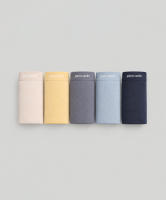 Pierre Cardin 5-Pieces Comfort Cotton Midi Pack Panties 505-7707