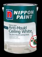 Nippon Paint Anti Mould Ceiling White