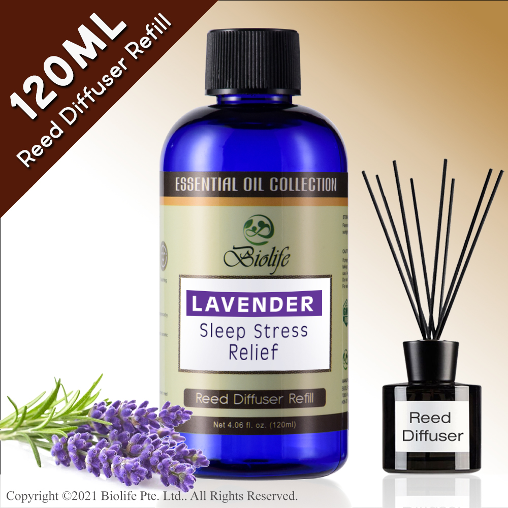 Biolife Lavender Essential Oil Aromatherapy Reed Diffuser Refill Long Lasting Scent (120ml Reed-Diffuser Refill)