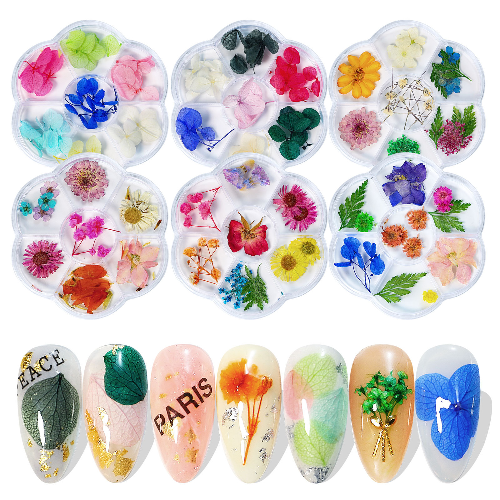 Một hộp bảy hoa khô làm móng tay hướng dương gypsophila hoa tự nhiên trang trí móng tay tự làm