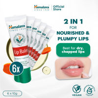 Himalaya Dry Lip Care Lip Balm 10g | Herbal Treatment for Chapped Lips | Paraben-Free