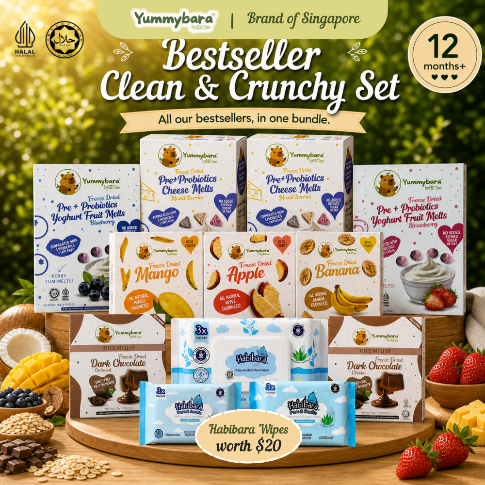 [Bundle] Yummybara x Habibara Bestseller Clean & Crunchy Set 12M+ | FreezeDried Fruits Yogurt Melts Choco | Baby Wipes