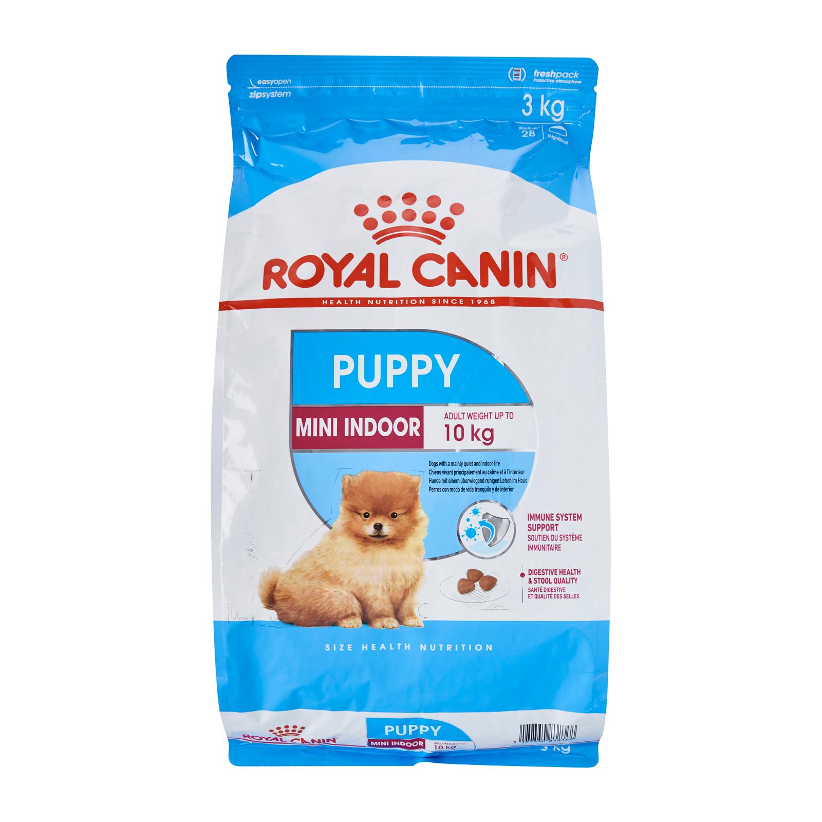 royal canin mini junior puppy