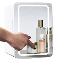 8L Mini Makeup Fridge Portable Cosmetic Refrigerator Glass Panel And Led Lighting Cooler Warmer Freezer Used for Beauty Skin