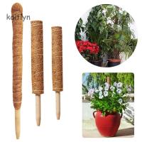 30/40/50cm Coir Moss Totem Pole Creeper Support Climbing Extension Stick