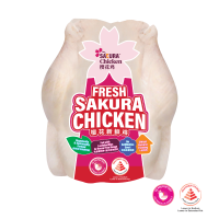 Fresh Sakura Chicken – 1.3kg [Non-Halal]
