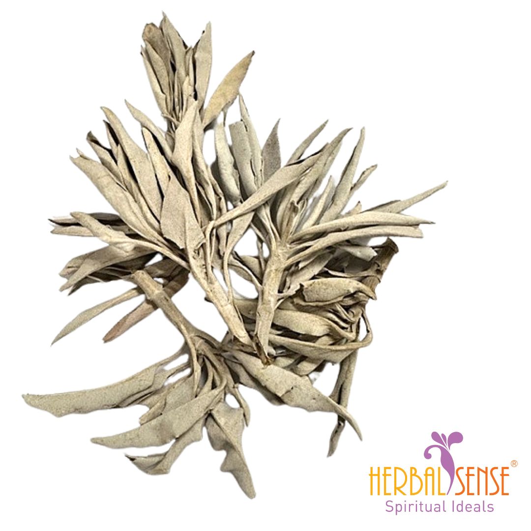 SI Smudging White Sage (loose) To Purify Negative Energy Authentic From USA