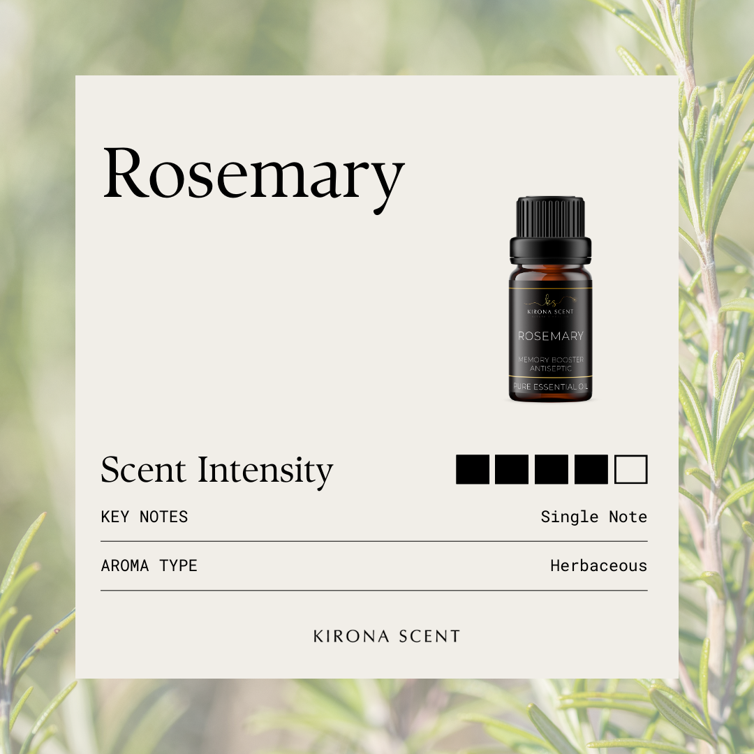 [KIRONA SCENT] Lemongrass Insect Repellent Pure Essential Oil (10ml) | Use with Nebulizers Candle Burners