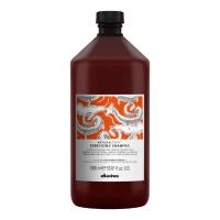 Lowest Price in Singapore! Davines NATURALTECH Energizing Shampoo 100ml / 250ml / 1000ml (Stimulate Hair Growth & Prevent Hairloss) - TS Global Trading