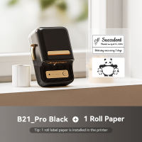 NIIMBOT B21Pro Photo Label Printer 300dpi HD Smart Bluetooth Home Thermal Label Maker Red Black Supermarket Picture Journal Barcode Label Machine