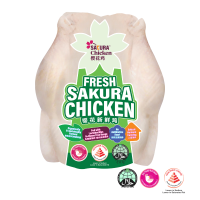 Fresh Sakura Chicken – 1.3kg [Halal]