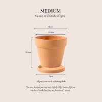Bundle Set Terracotta Pottery Pots | Red Pottery Pot | Porous Flower Pot | Gardening | Clay Flower Pots | Speckled Space