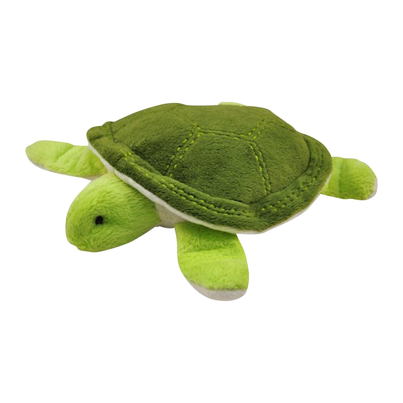 dog turtle toy