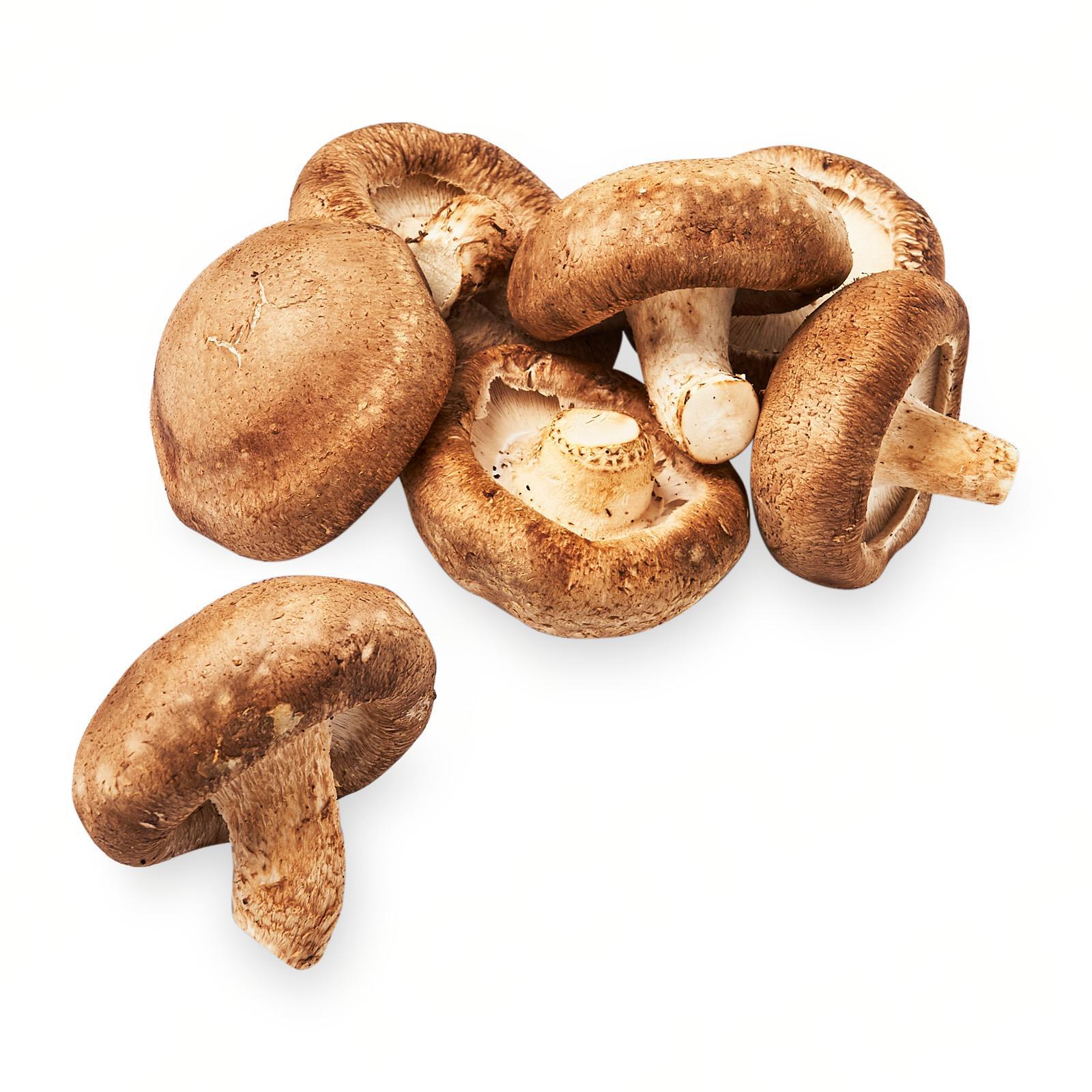 YUVVO Shiitake Mushroom: Buy sell online Mushrooms with cheap ...