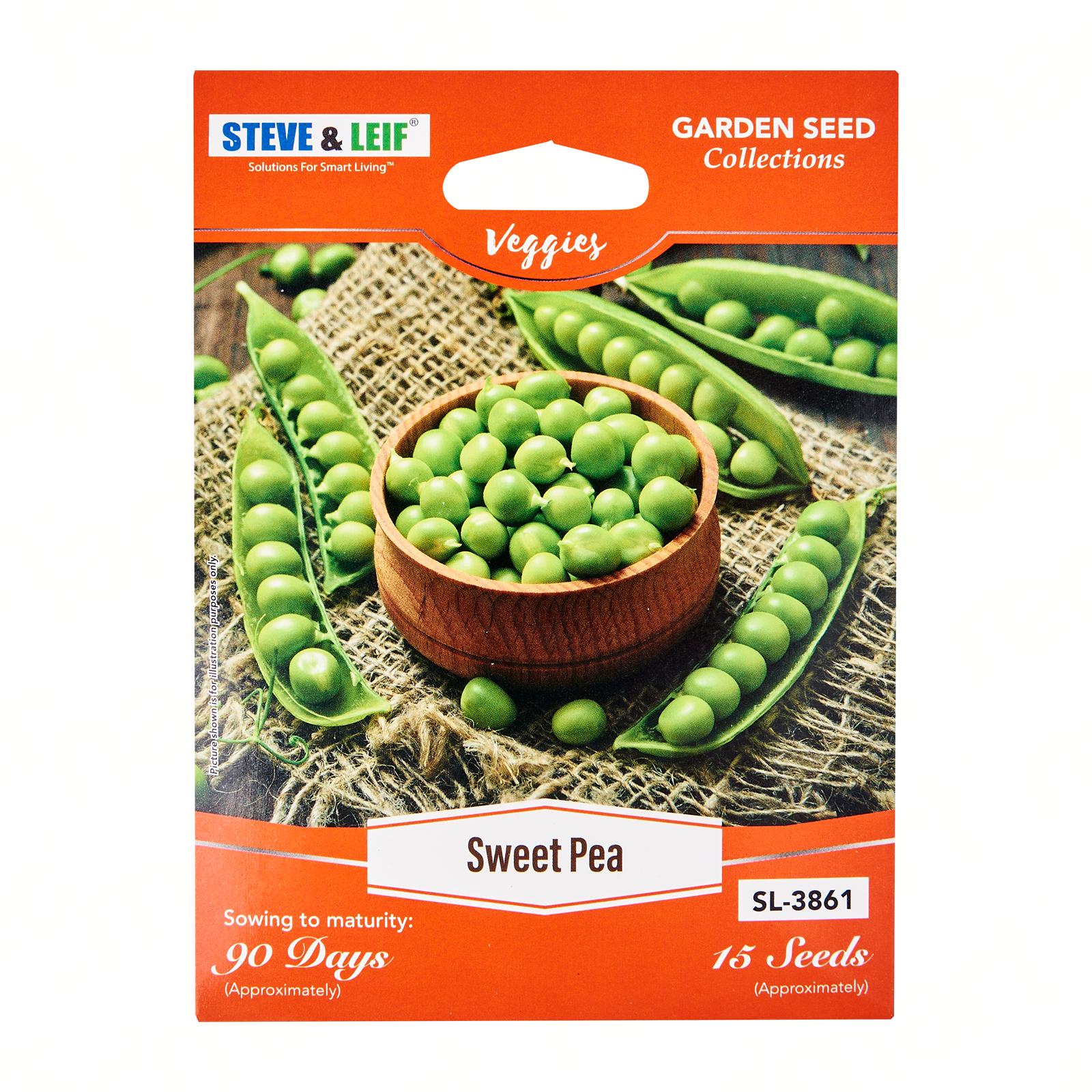 Steve & Leif Sweet Pea Seeds (16 Seeds) - Bundle of 16  Lazada