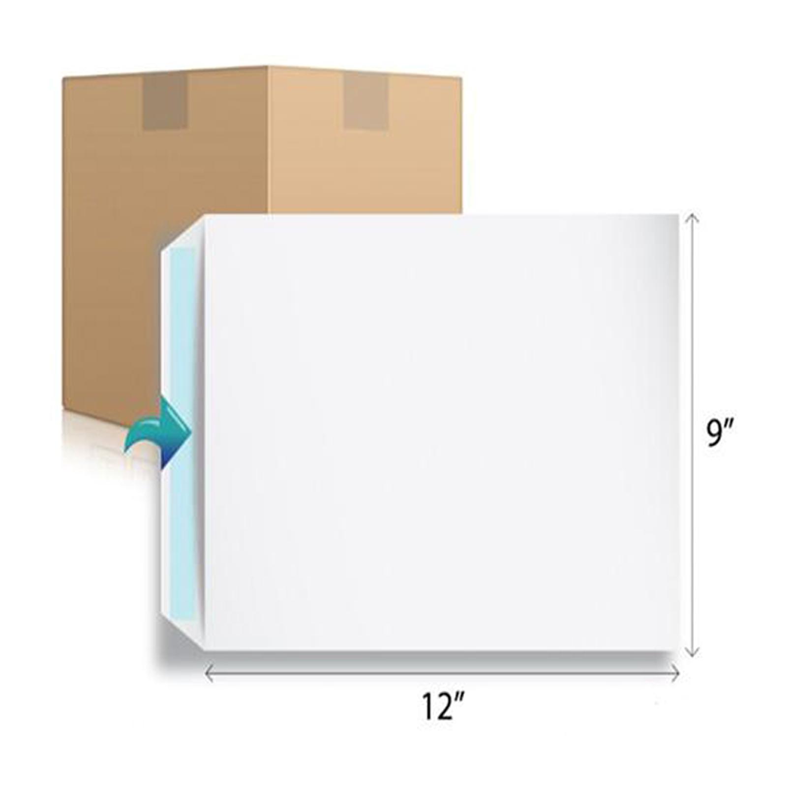 VIP C4 White Envelope 9 x 12.75 Inch 250S 1S