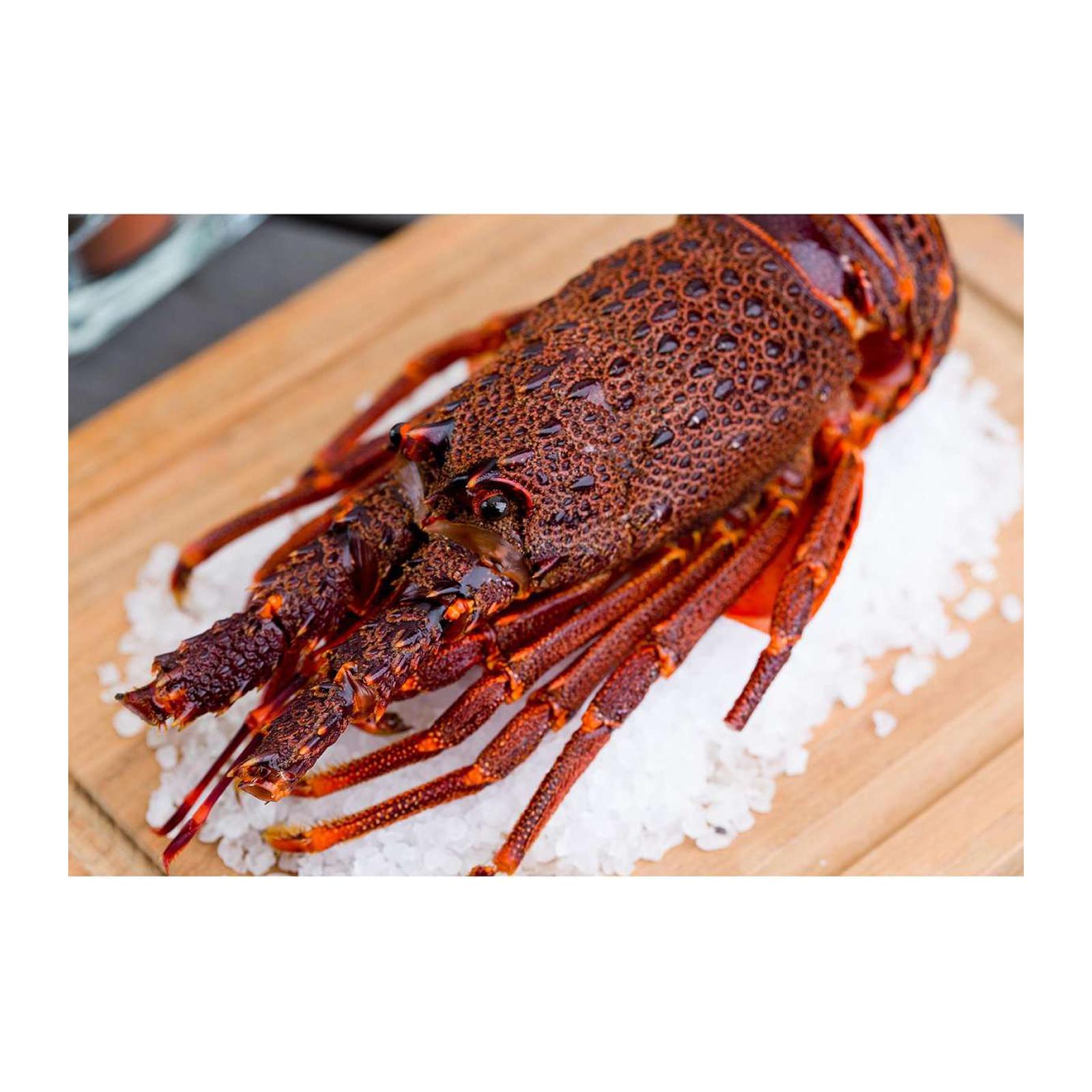 Catch Seafood Baby Rock Lobster X 2 Pcs Frozen Lazada Singapore