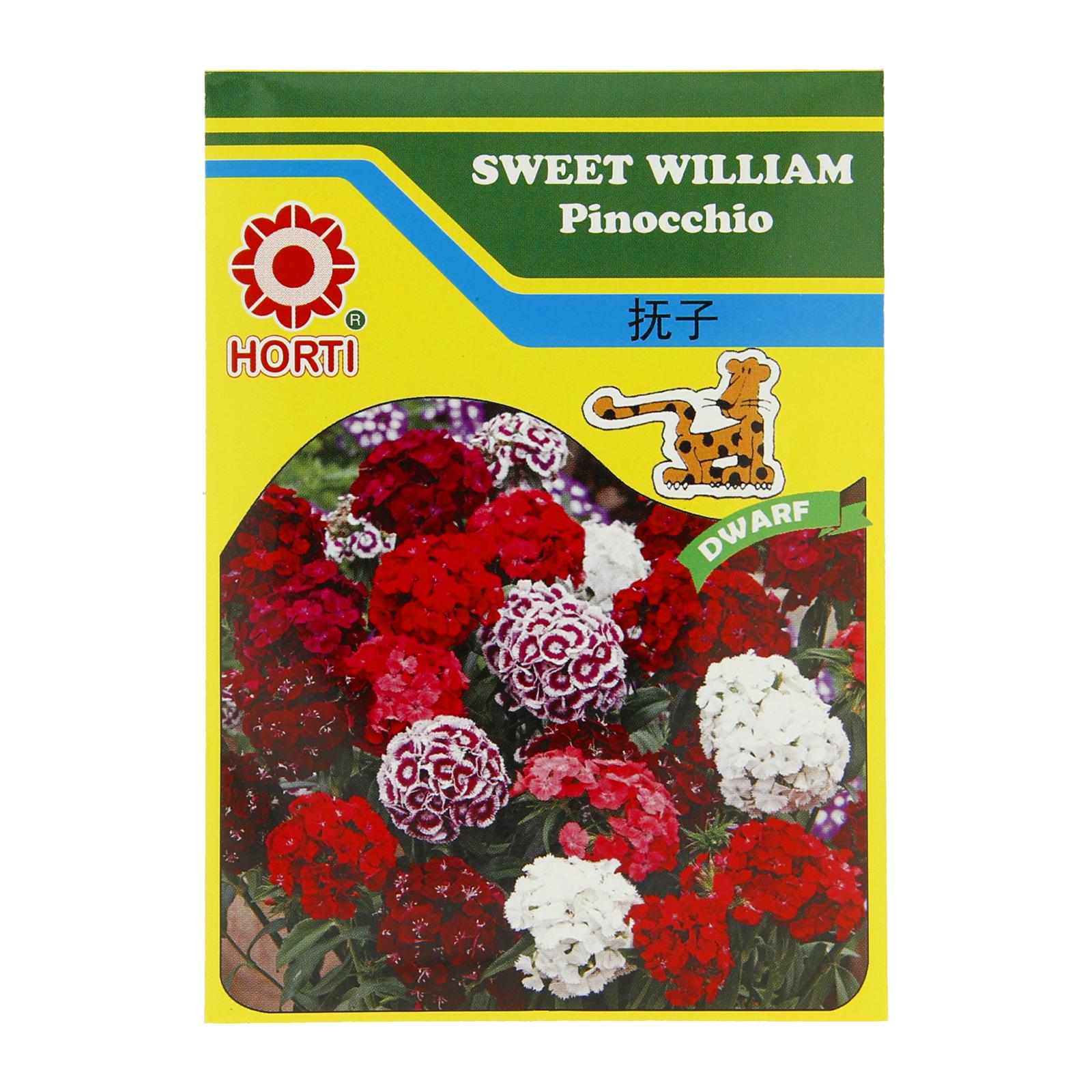 HORTI Sweet William Seeds