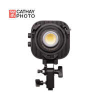 Aputure amaran Halo 100X Bi-color LED Light