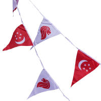 Partyforte NDP National Day Singapore Triangular Flag String Pennant 7.6M 20Flags
