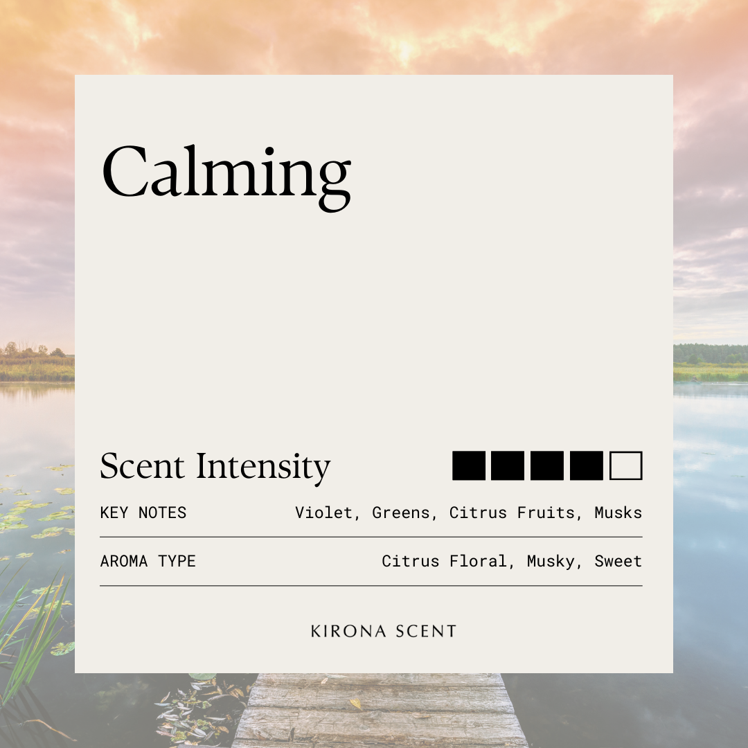 [KIRONA SCENT] Unwind & Relax Bundle Set (Blazing Fire Aroma Diffuser 240ml [Black] + 450ml Body Wash)