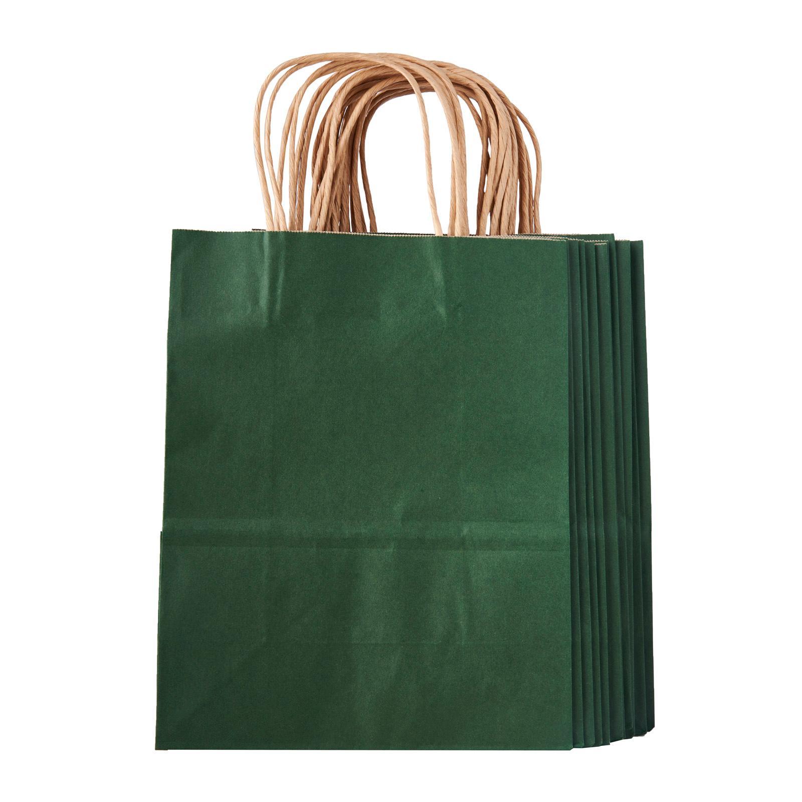 CGS 21x27x11Cm Kraft Paper Bag -Green