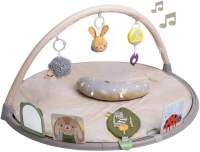 Taf Toys Tummy Time Activity Gym (FREE Taf Toys Rattle)